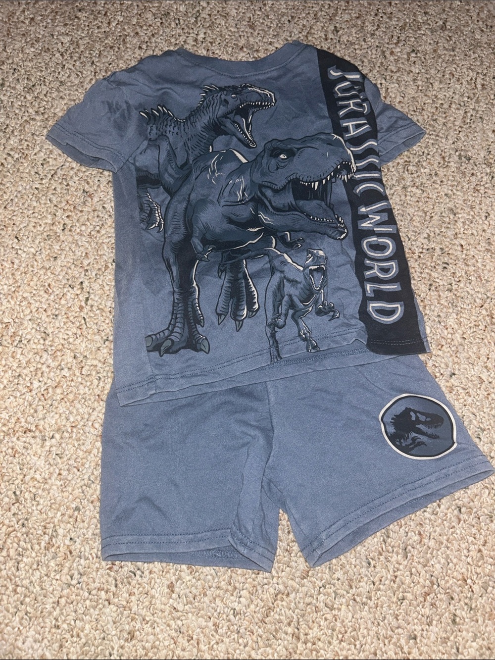 Boys' Jurassic park